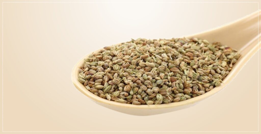 Chew Carom Seeds Once in a Day