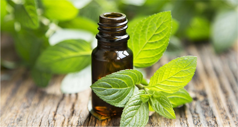 Use-Peppermint-Oil-for-Curing-Constipation